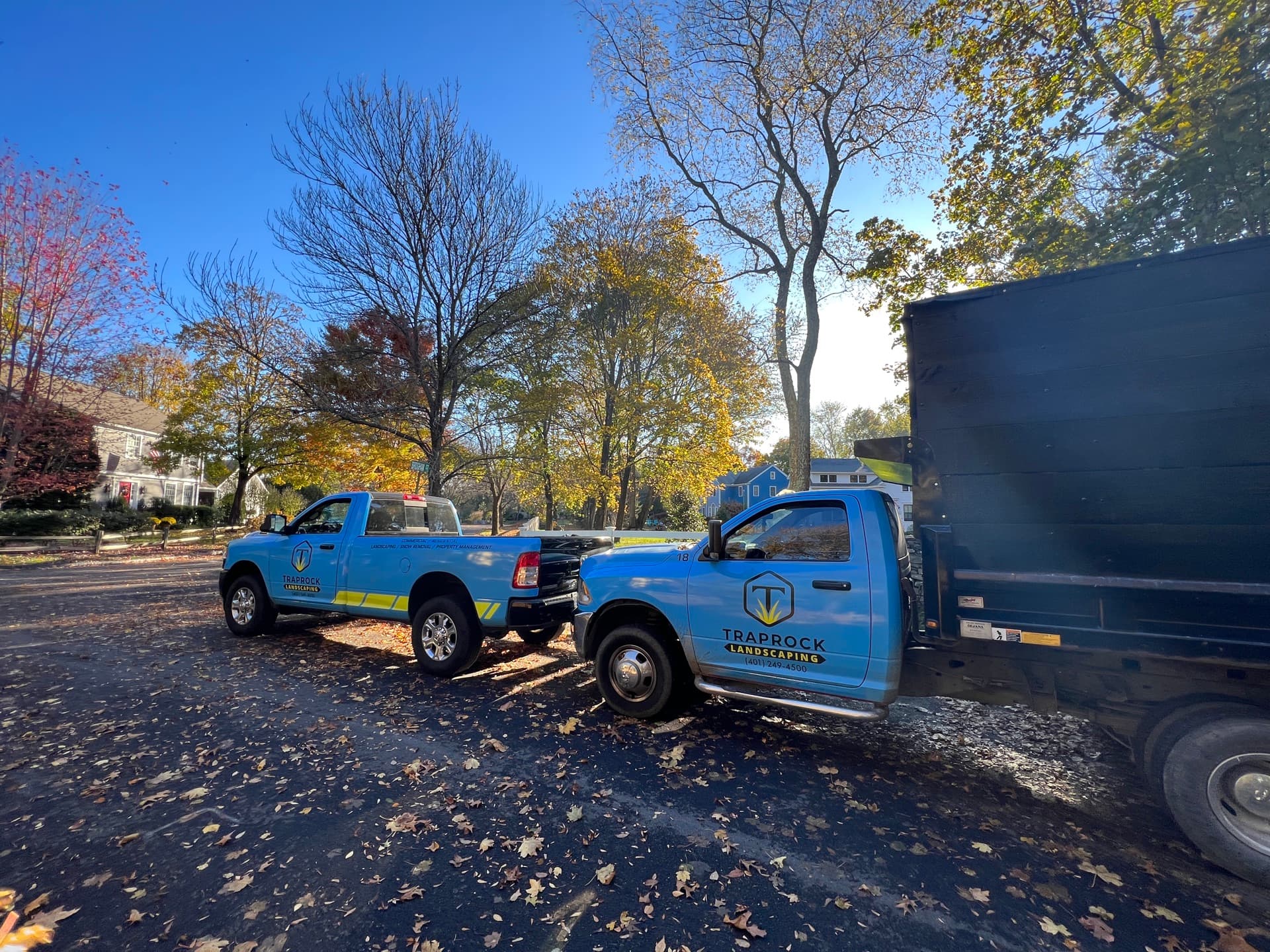 Gutter Cleaning