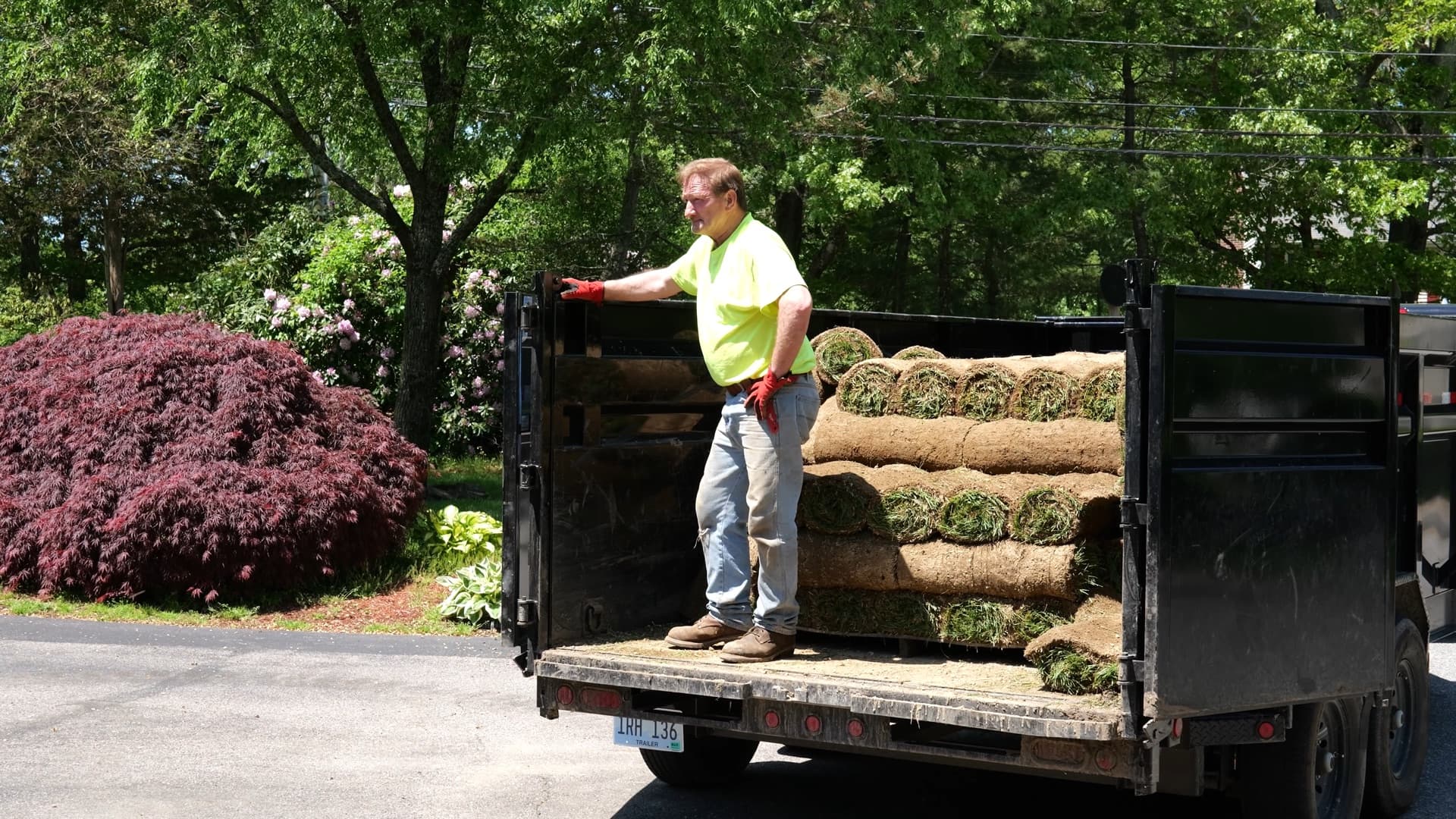 Landscaping & Yard Cleanup