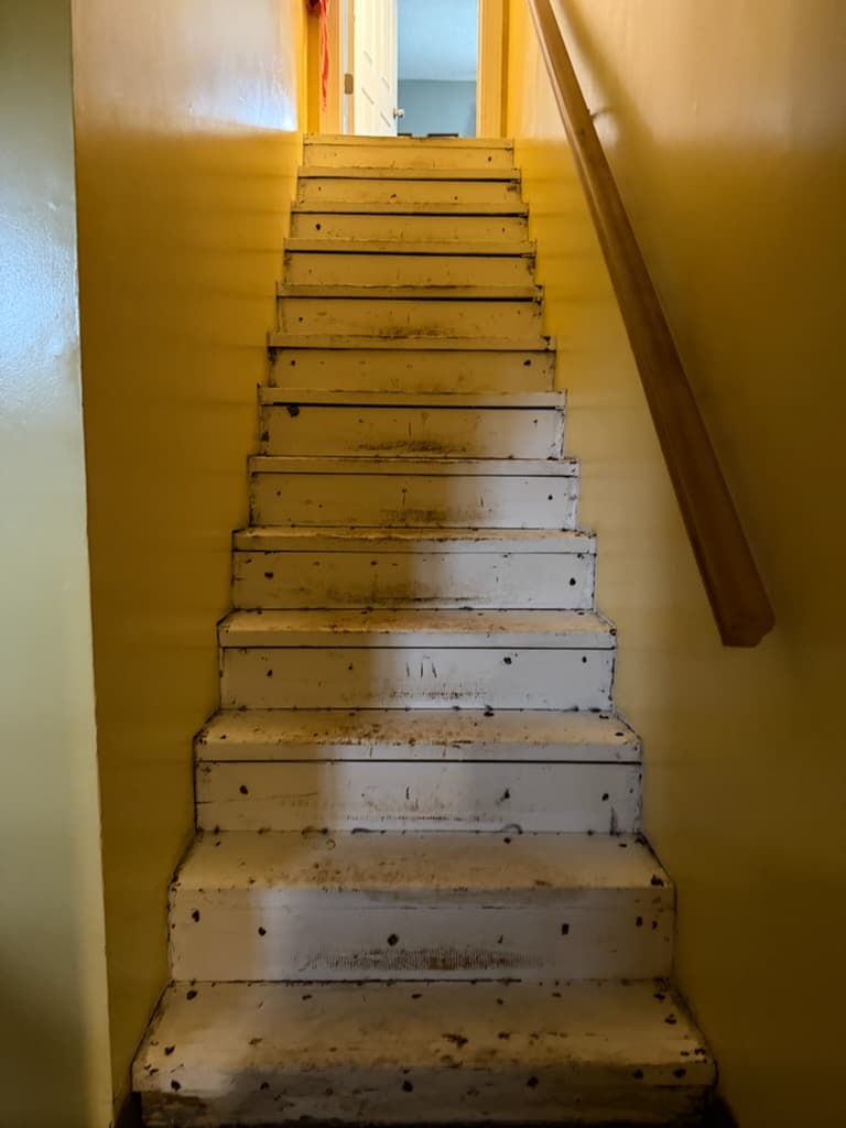 Flooring project photo