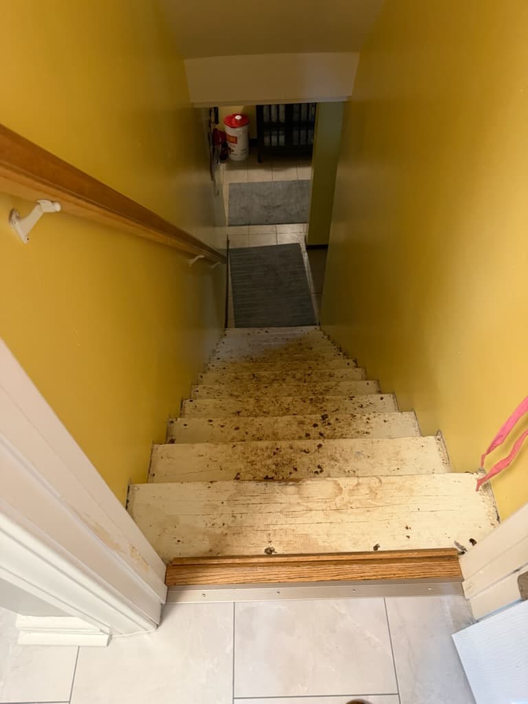 Flooring project photo