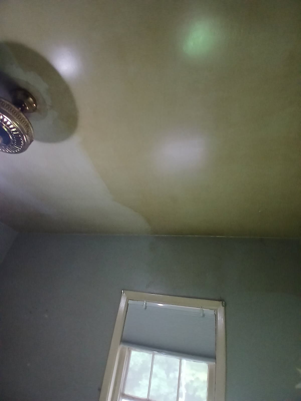 Painting project photo
