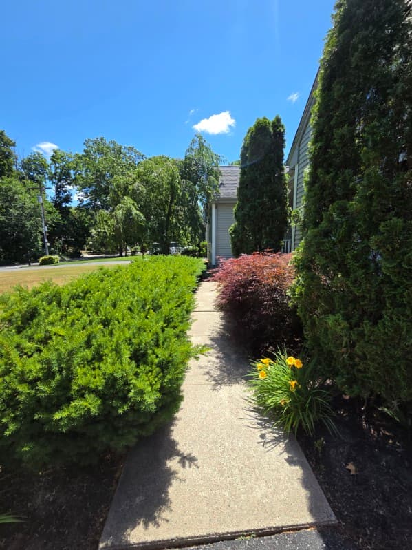 Landscaping project photo
