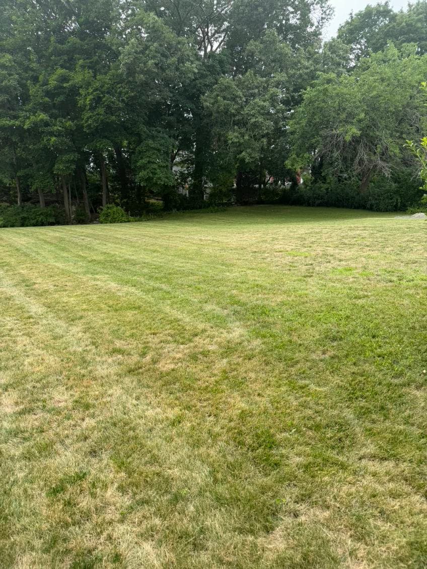 Landscaping project photo