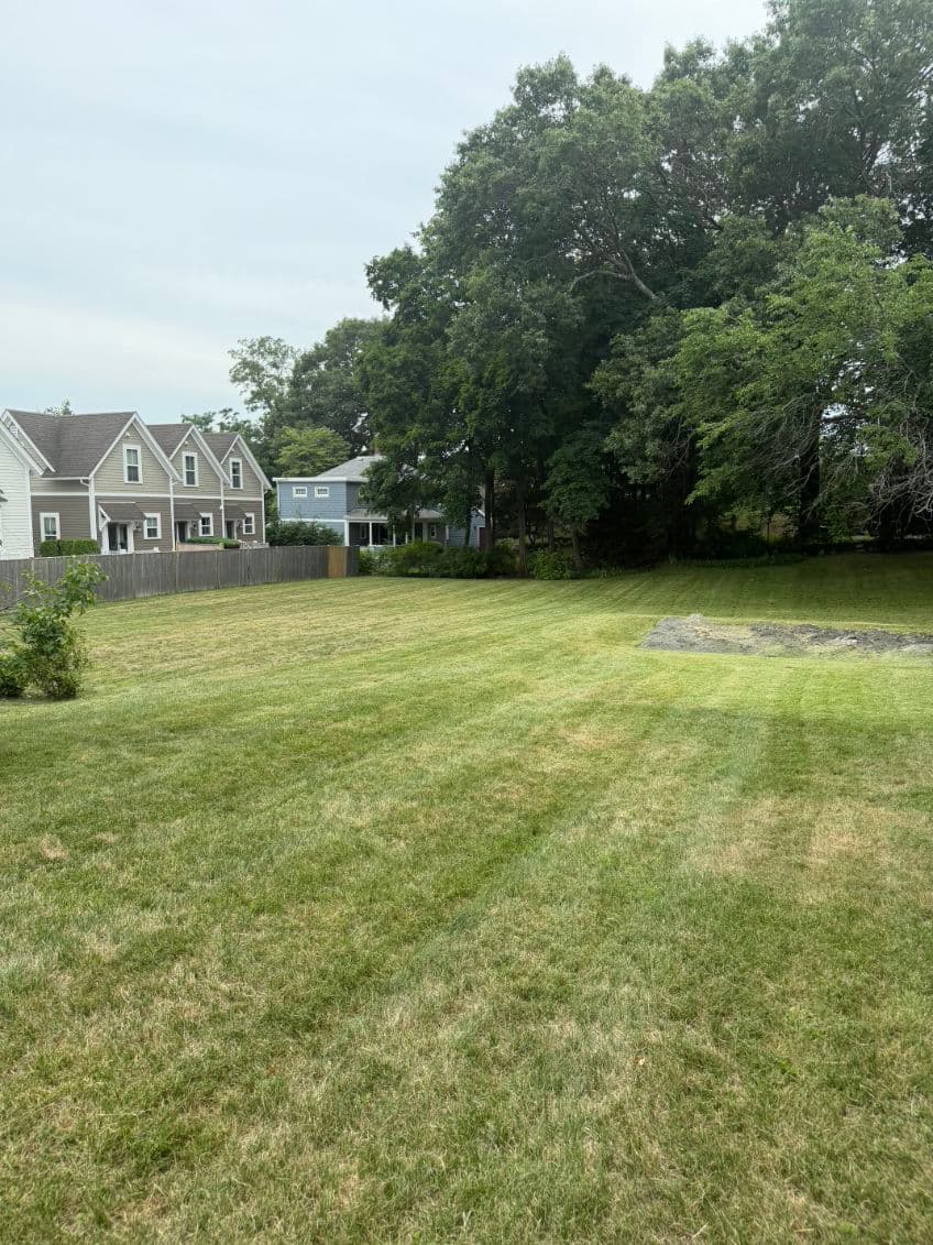 Landscaping project photo
