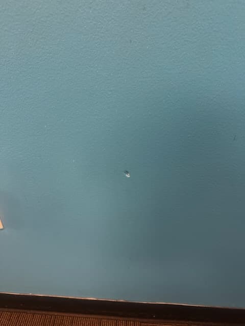 Window Cleaning project photo