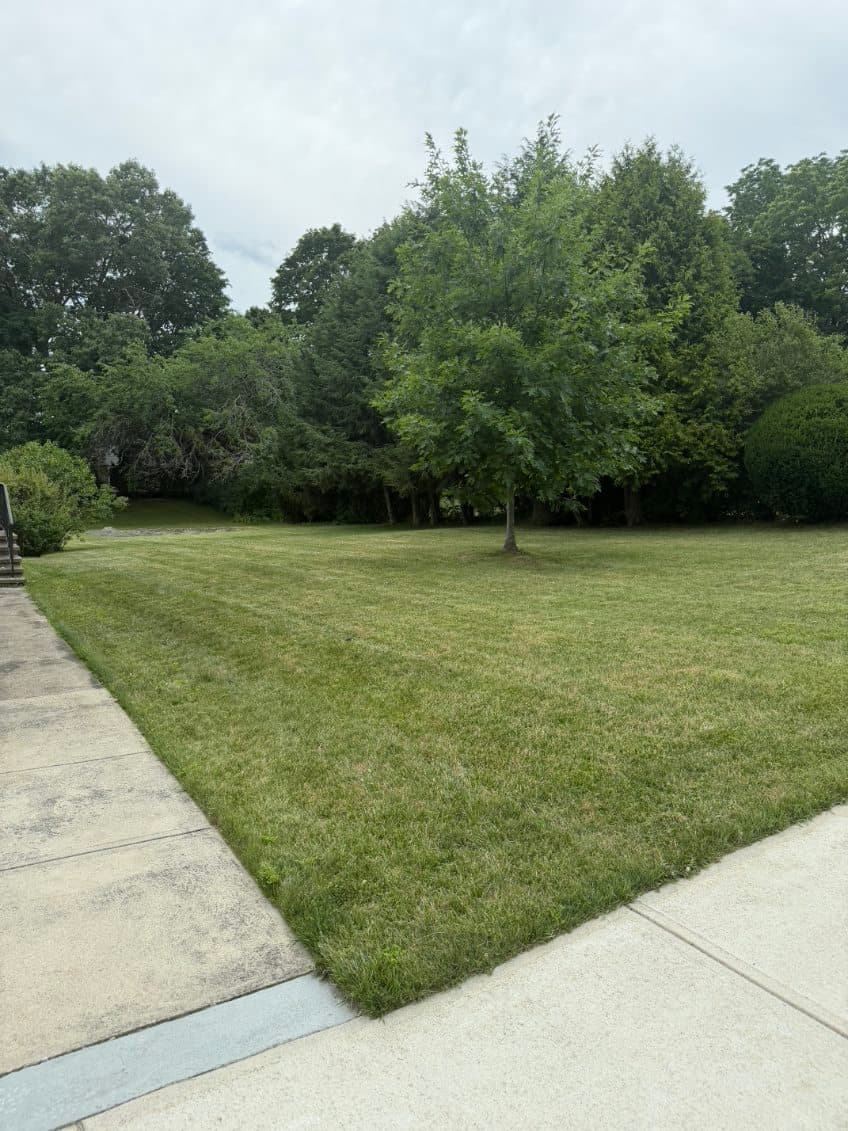 Landscaping project photo